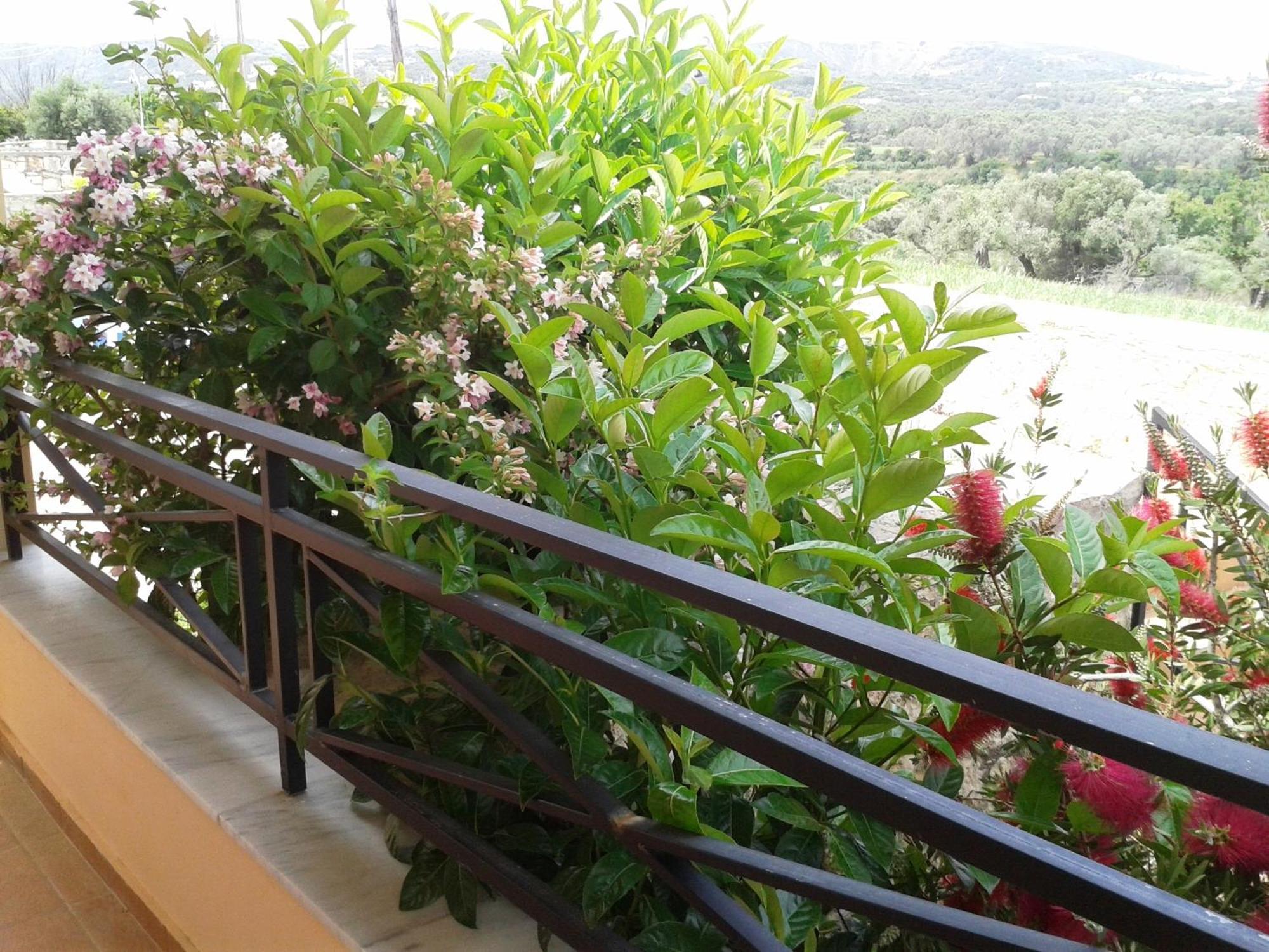 Helidonia Villas Pigi  Ruang foto